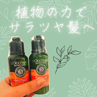 ファイブハーブスリペアリングシャンプー／コンディショナー/L'OCCITANE/シャンプー・コンディショナーを使ったクチコミ（1枚目）