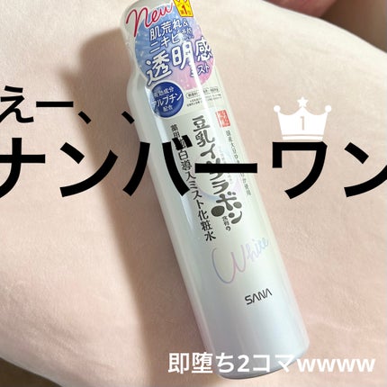 マイクロ純白ミスト化粧水/なめらか本舗/ミスト状化粧水を使ったクチコミ(2枚目)