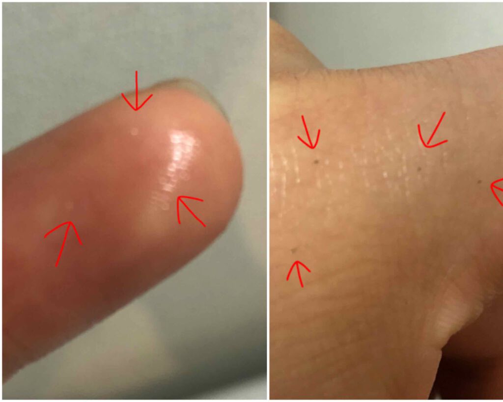 馬油ベビーオイル/エクストラ/ボディオイルを使ったクチコミ(2枚目)