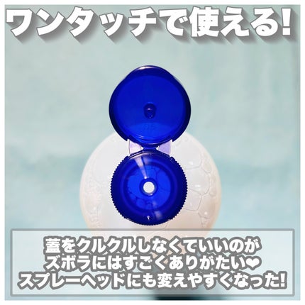 ハトムギ化粧水(ナチュリエ スキンコンディショナー R )/ナチュリエ/化粧水を使ったクチコミ(3枚目)