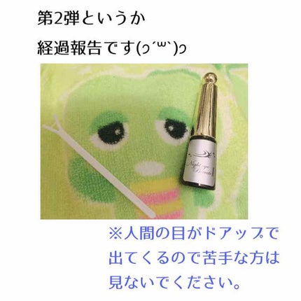 ナイトアイボーテ/StreeTrend/二重まぶた用アイテムを使ったクチコミ(1枚目)