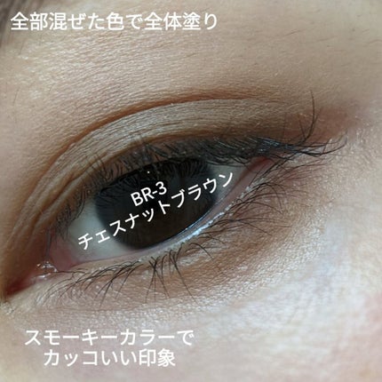 ニュアンス マット クリエイター/Visée/アイシャドウパレットを使ったクチコミ(2枚目)