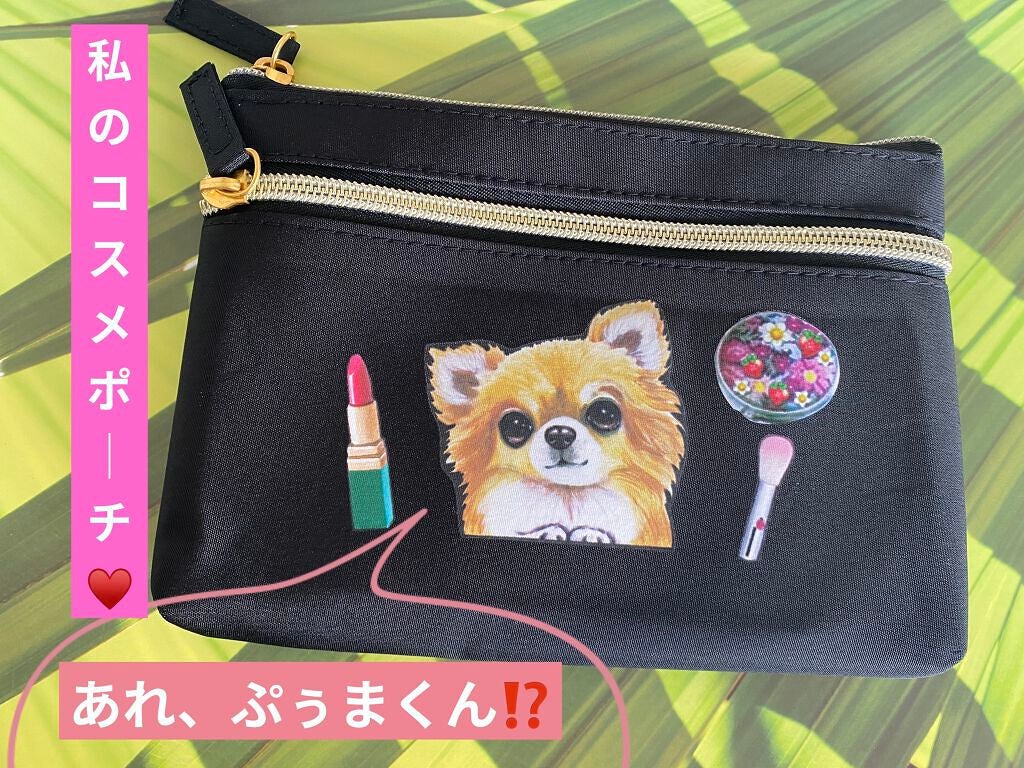 ぷぅぴぃ《紫コス部💜💗》 on LIPS 「🐶🐶🐶わんDayペット🐶🐶🐶🐶🐶🐶チワワイラストポーチ🐶🐶🐶チ..」(1枚目)