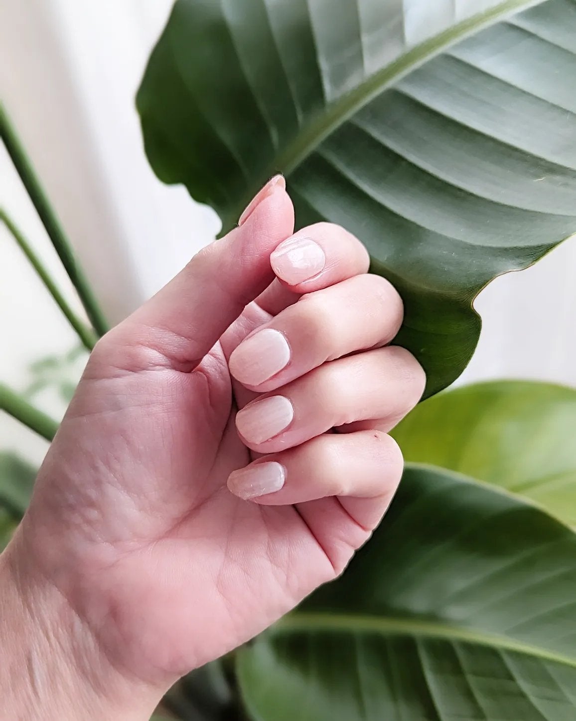 TeMOT LUXURY KIT/TeMOT/その他キットセットを使ったクチコミ(4枚目)