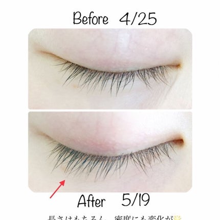 ロングアクティブアイラッシュセラム/COSNORI/まつげ美容液を使ったクチコミ(4枚目)