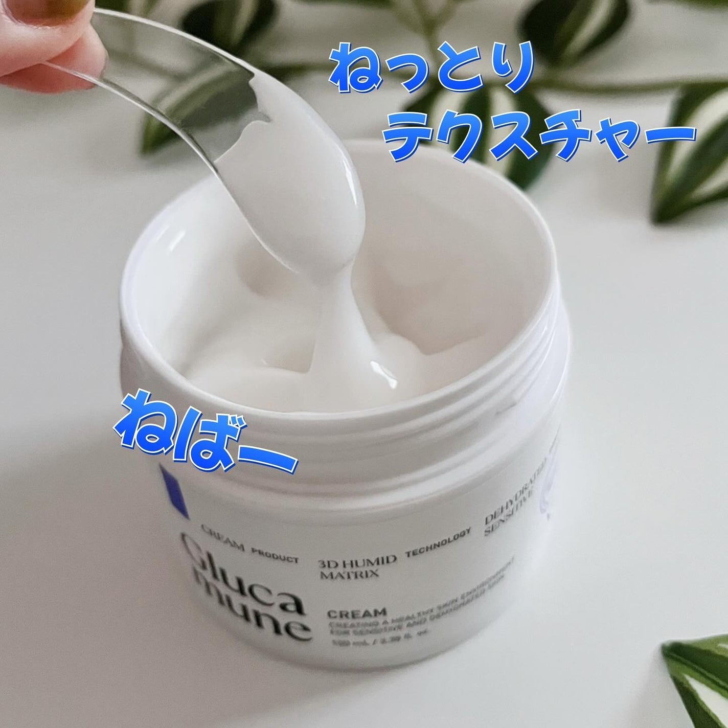 グルカミューンクリーム/VT/フェイスクリームを使ったクチコミ(7枚目)