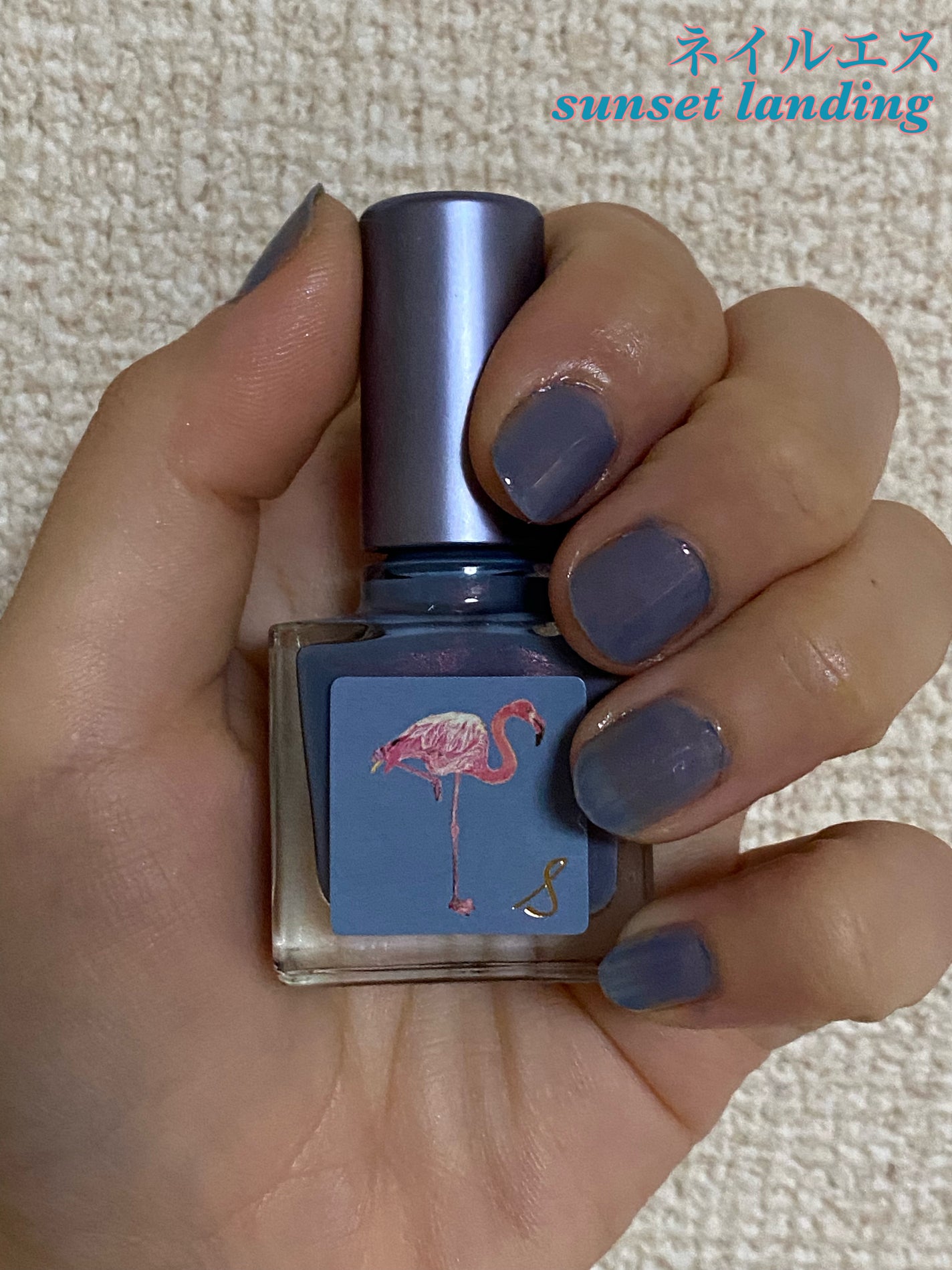 ネイルエス/ nail S(ネイルエス) /マニキュアを使ったクチコミ(1枚目)