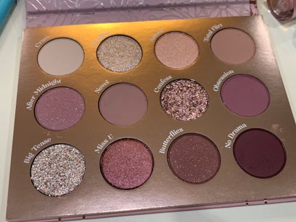 MENAGE A MUAH/ColourPop/アイシャドウパレットを使ったクチコミ(1枚目)