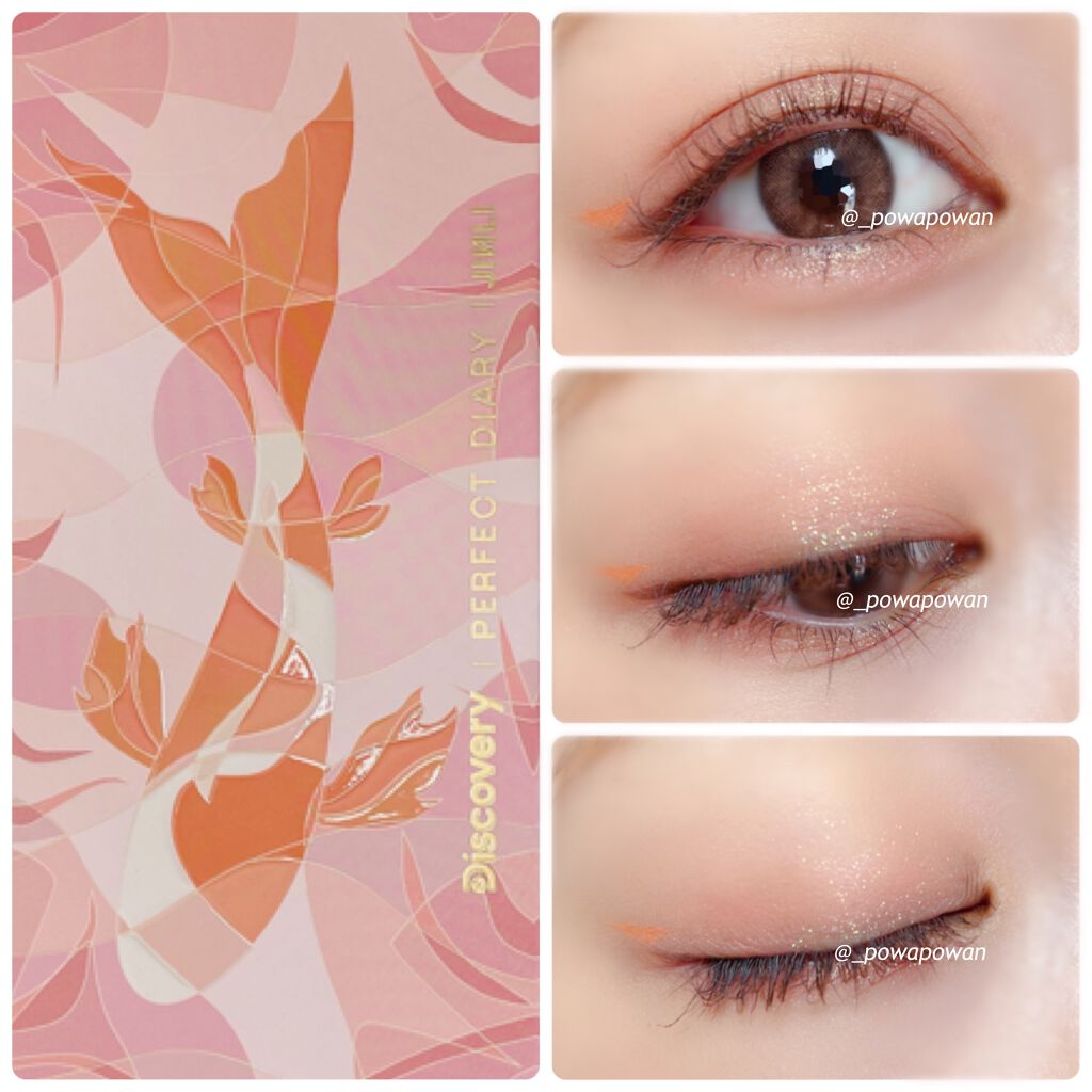 エクスプローラ12色 動物アイシャドウパレット/PERFECT DIARY/アイシャドウパレットを使ったクチコミ（1枚目）