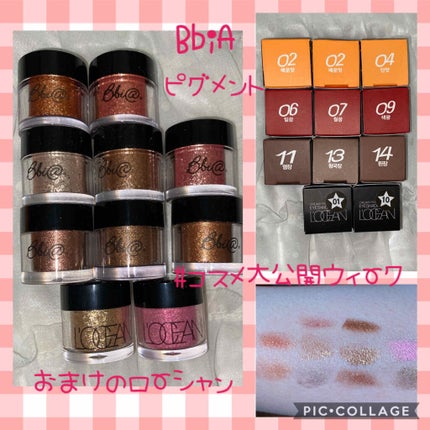 ピグメント/BBIA/アイシャドウパレットを使ったクチコミ(1枚目)