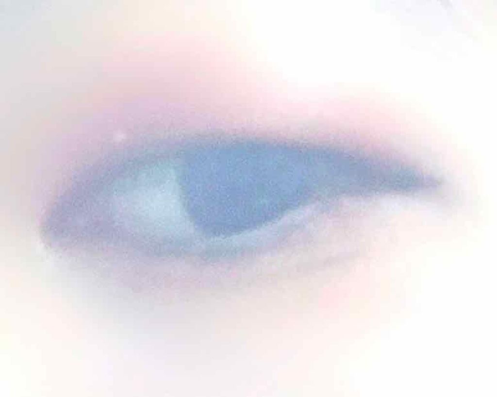 ロートリセ(医薬品)/ロート製薬/その他を使ったクチコミ（2枚目）