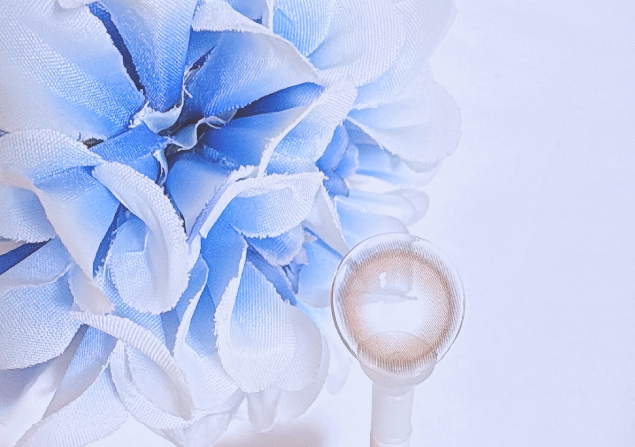 GLINT/OLOLA/ワンデー（１DAY）カラコンを使ったクチコミ（3枚目）