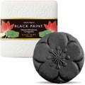 プレミアム ブラックペイント ヒト乳酸菌配合 60g