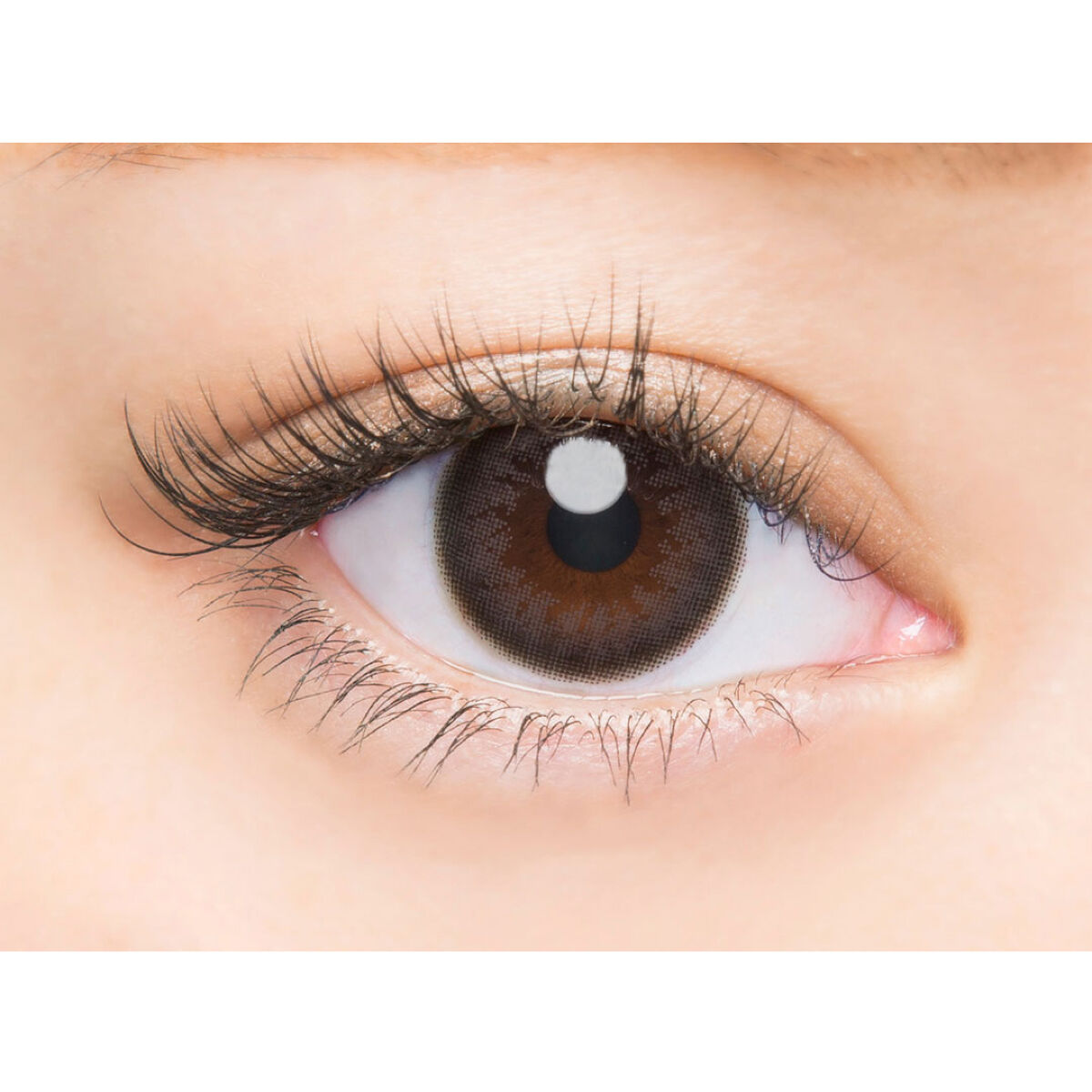 バンビシリーズ ワンデー ナチュラル Natural Black