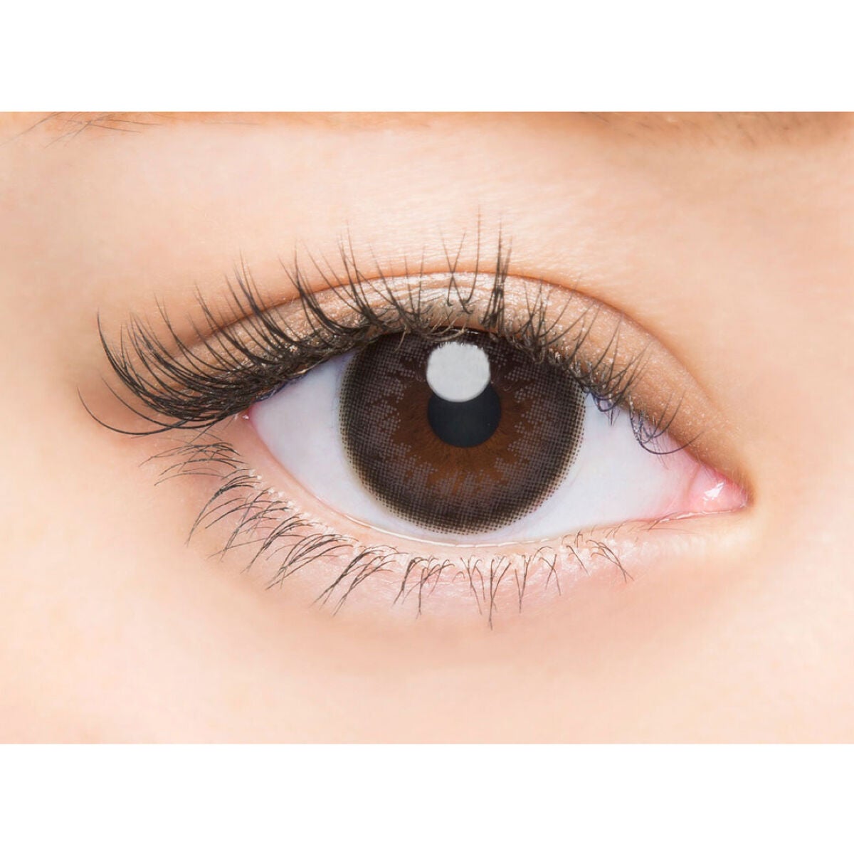 バンビシリーズ ワンデー ナチュラル Natural Black