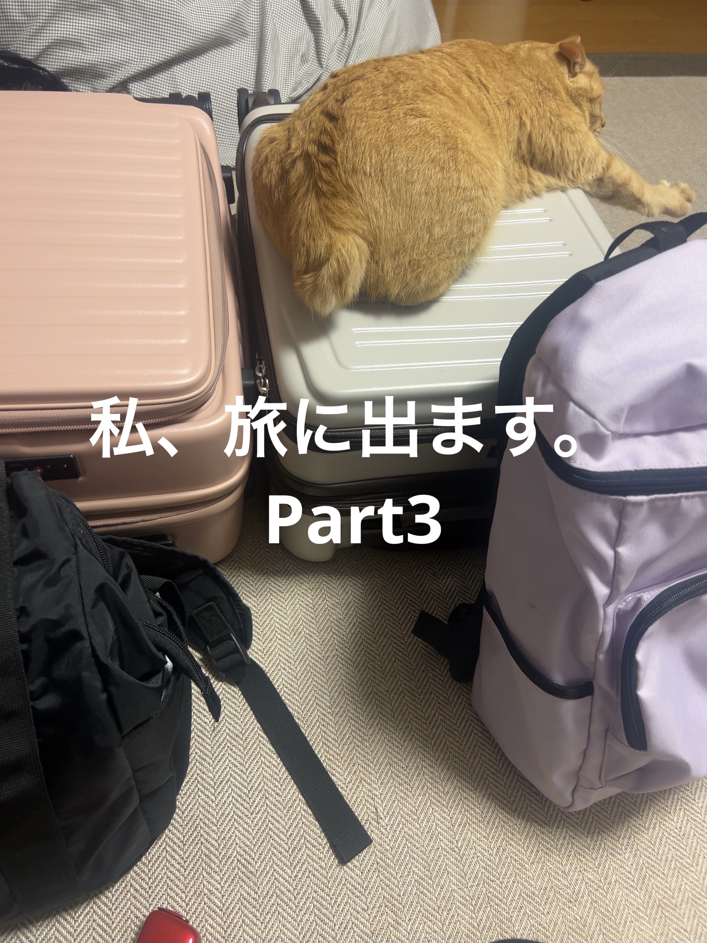 エッセンス リッププランパー/Visée/リッププランパーを使ったクチコミ（1枚目）