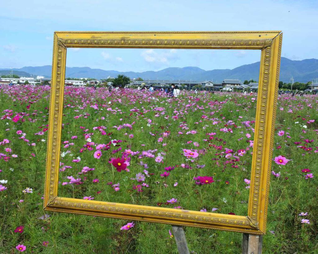 エピック ミニ ダッシュ/THREE/リキッドチークを使ったクチコミ(5枚目)