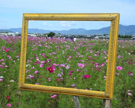 エピック ミニ ダッシュ/THREE/リキッドチークを使ったクチコミ(5枚目)