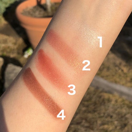 グロッシーリッチ アイズ N/Visée/アイシャドウパレットを使ったクチコミ(3枚目)