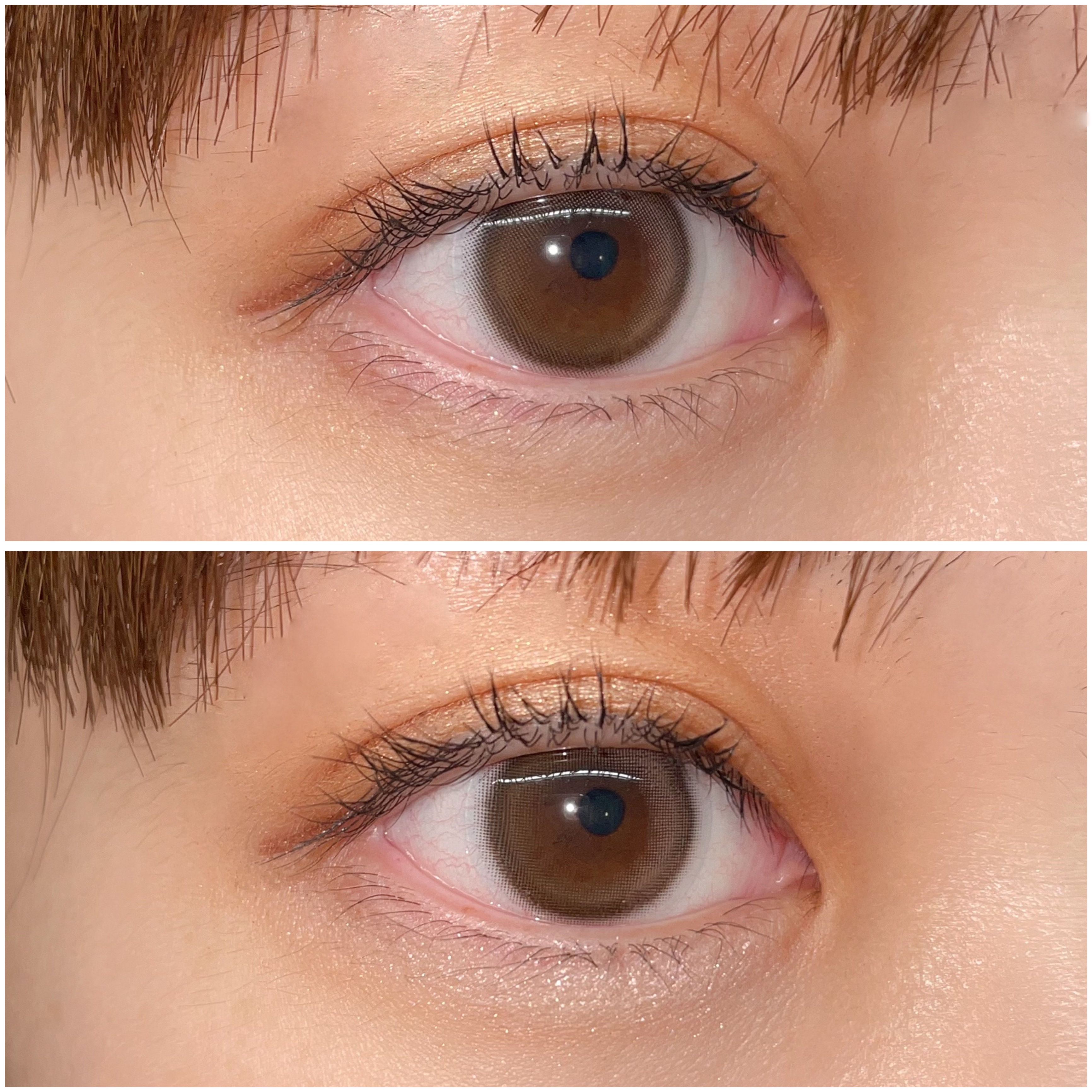 プランぷくコーデアイズ/キャンメイク/パウダーアイシャドウを使ったクチコミ（3枚目）