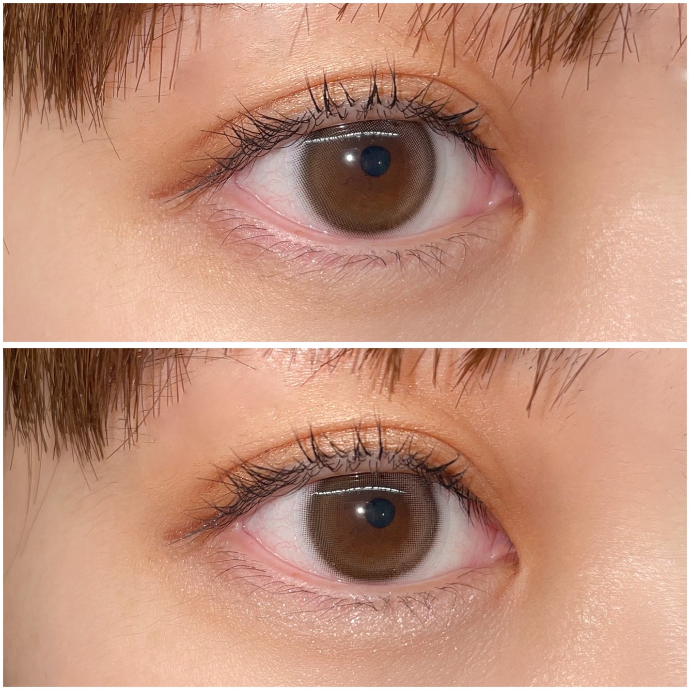 プランぷくコーデアイズ/キャンメイク/パウダーアイシャドウを使ったクチコミ(3枚目)