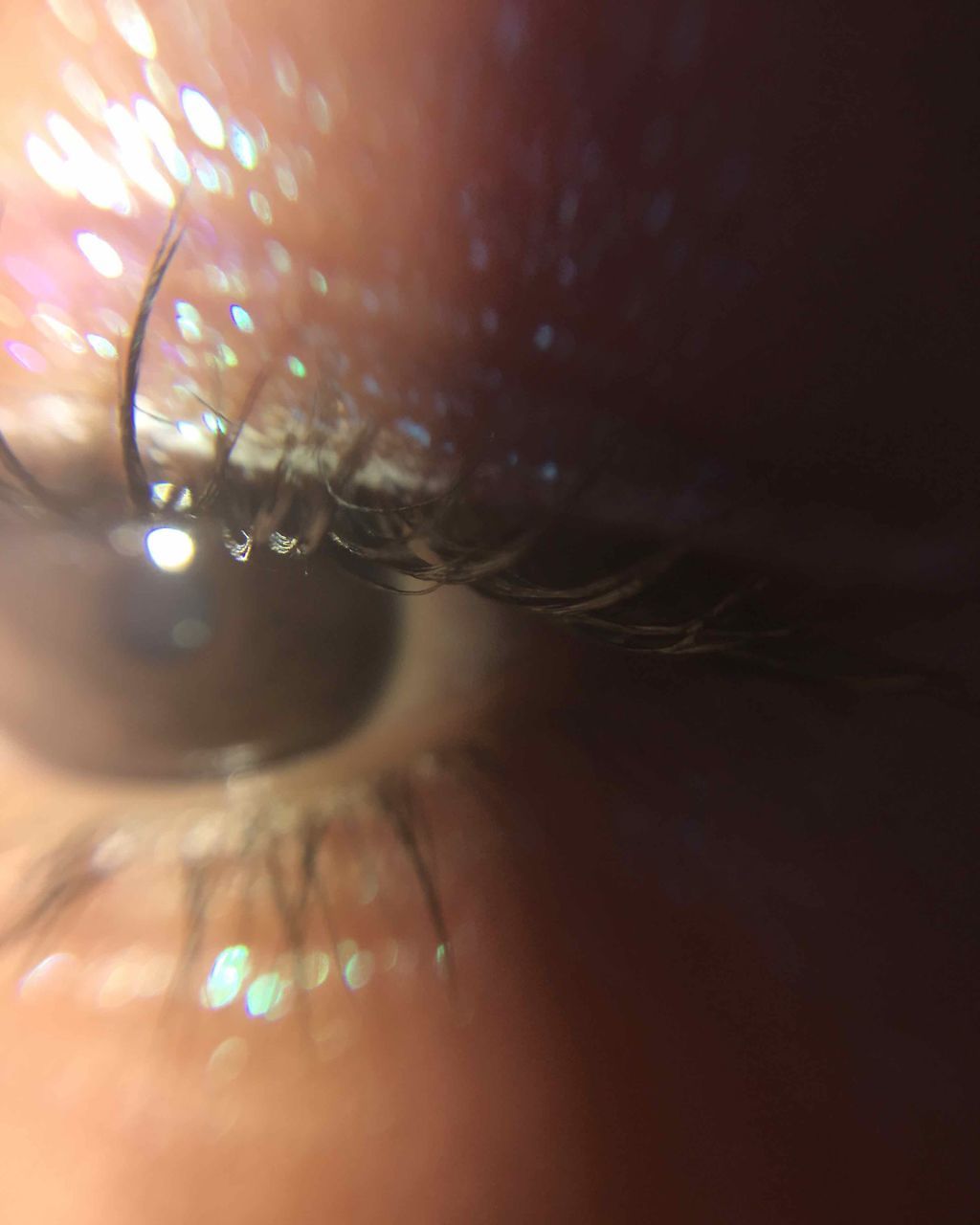 Supernova Shadow/ColourPop/リキッドアイシャドウを使ったクチコミ（2枚目）