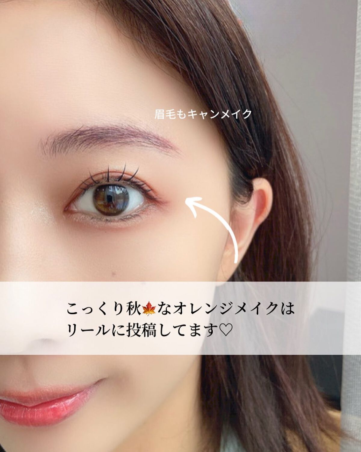 パーフェクトスタイリストアイズ/キャンメイク/アイシャドウパレットを使ったクチコミ(6枚目)