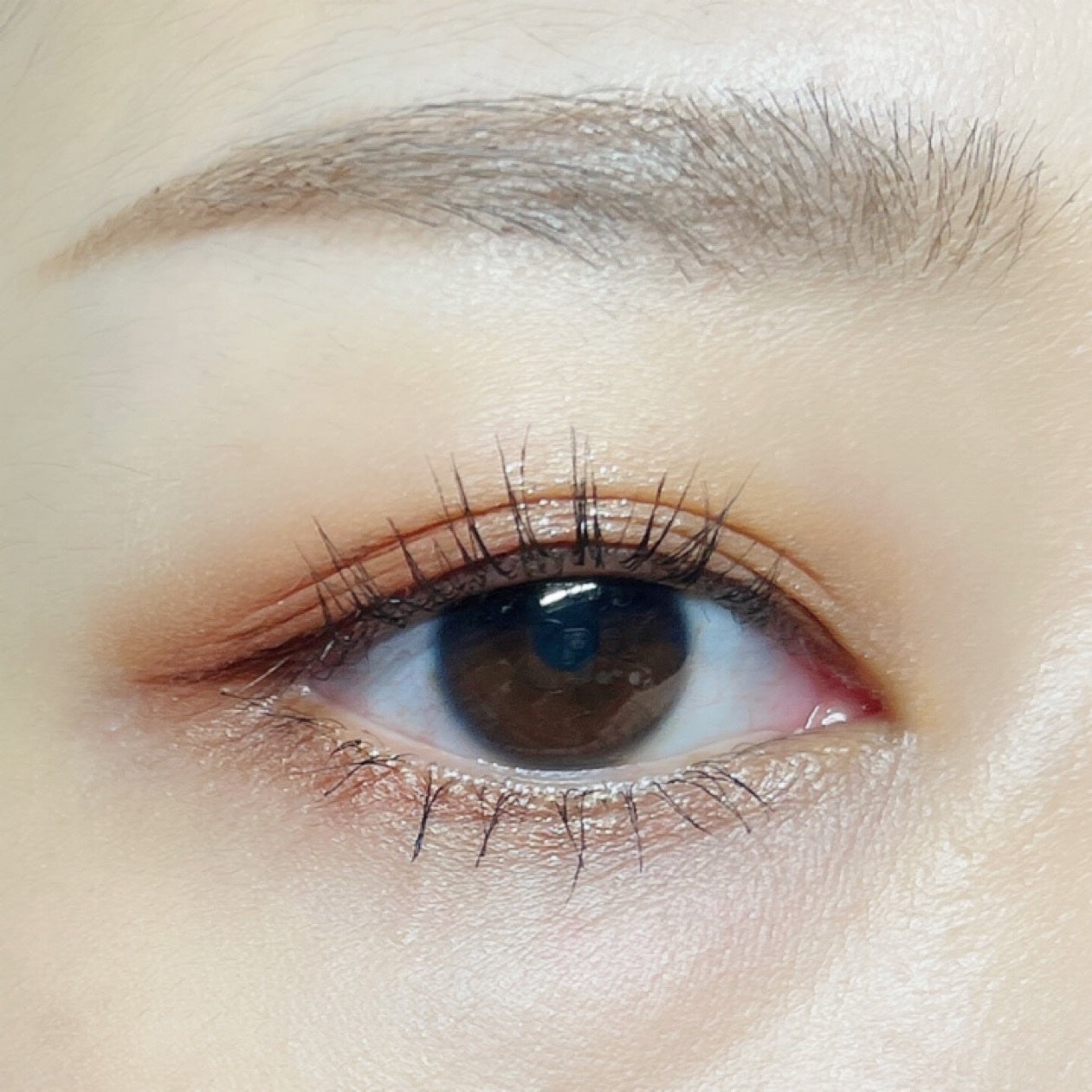 アイパレット/sopo/アイシャドウパレットを使ったクチコミ(5枚目)