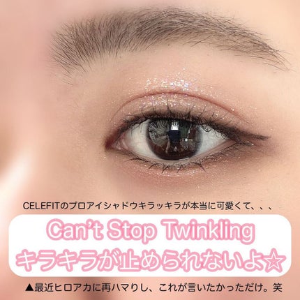 プロアイシャドウパレットセシル/CELEFIT/アイシャドウパレットを使ったクチコミ(2枚目)