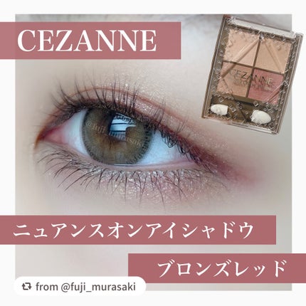 ニュアンスオンアイシャドウ/CEZANNE/アイシャドウパレットを使ったクチコミ(1枚目)