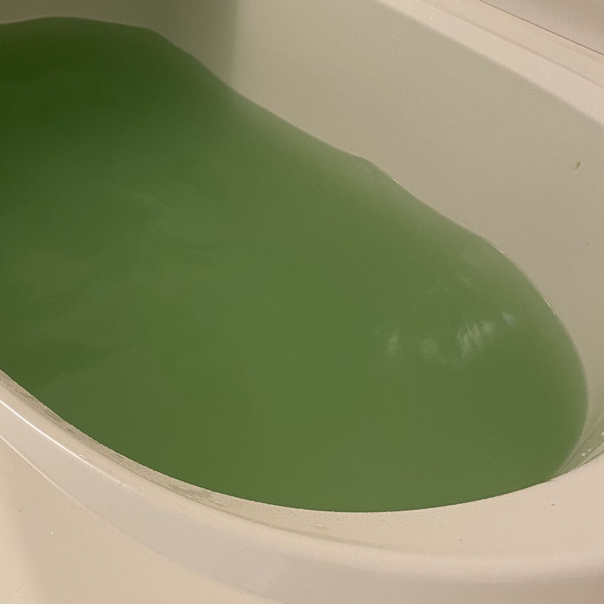 蓬香草湯α/AYURA/生薬系入浴剤を使ったクチコミ（3枚目）