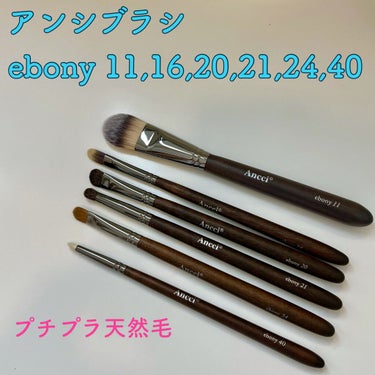 ebony 11/Ancci brush/メイクブラシを使ったクチコミ（1枚目）