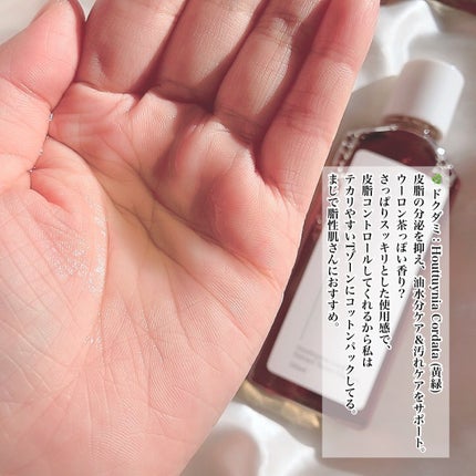 スキンケアトナー/CHAEB GONGGAN/化粧水を使ったクチコミ(5枚目)