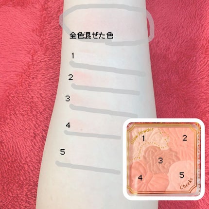 グロウフルールチークス/キャンメイク/パウダーチークを使ったクチコミ(2枚目)