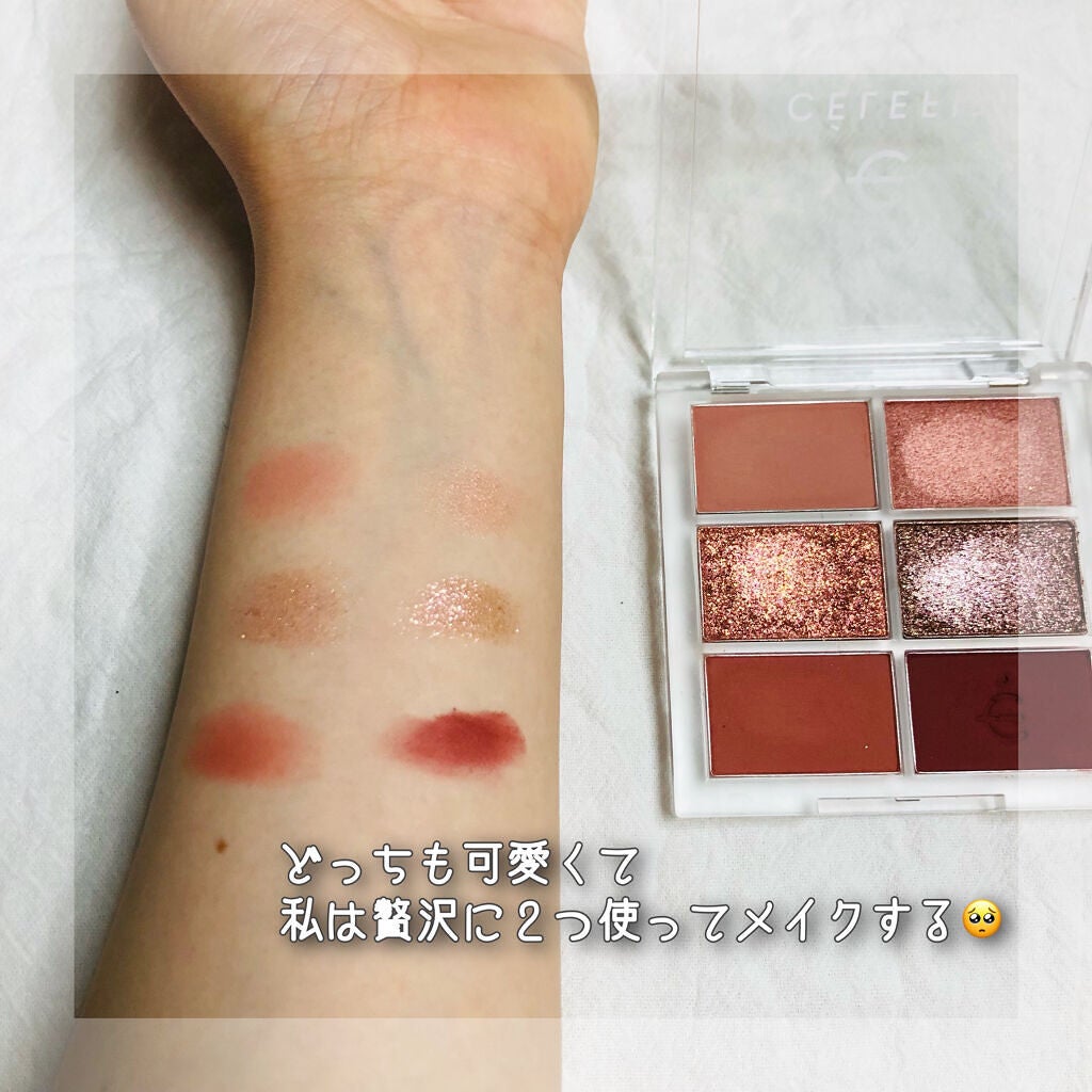 プロアイシャドウパレットセシル/CELEFIT/アイシャドウパレットを使ったクチコミ(5枚目)