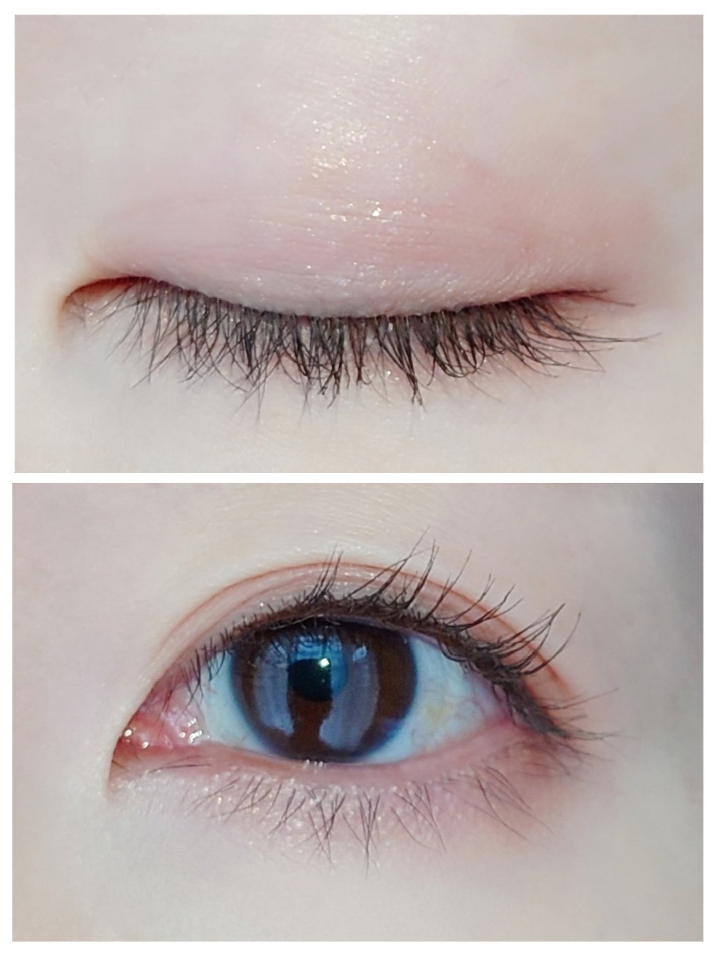 シルキースフレアイズ(マットタイプ)/キャンメイク/アイシャドウパレットを使ったクチコミ(3枚目)