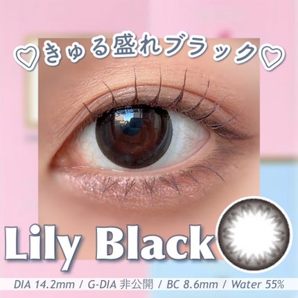 LILY ANNA/LILY ANNA/カラーコンタクトレンズを使ったクチコミ(1枚目)