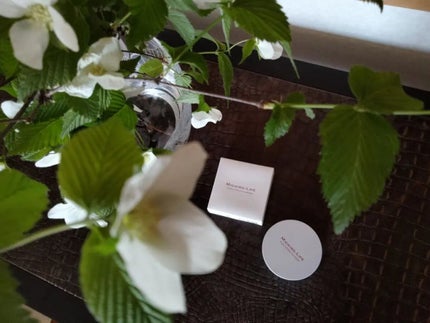 mcgroupakiko on LIPS 「この時期は同じ事務所に所属している同年代の講師達と数日間同じ会..」(9枚目)