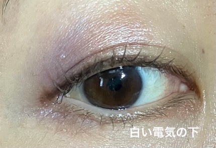 Meme on LIPS 「縦割りで塗ってみました。イエベの私には、縦割りのほうが使いやす..」(4枚目)