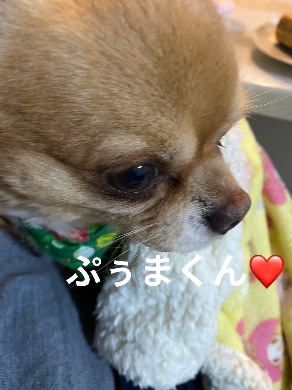 ぷぅぴぃ《紫コス部💜💗》 on LIPS 「おはようございますヽ(•̀ω•́)ゝ2021年1月25日ぷぅま..」(5枚目)