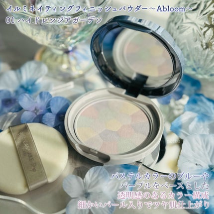 イルミネイティングフィニッシュパウダー ~Abloom~/キャンメイク/プレストパウダーを使ったクチコミ(2枚目)