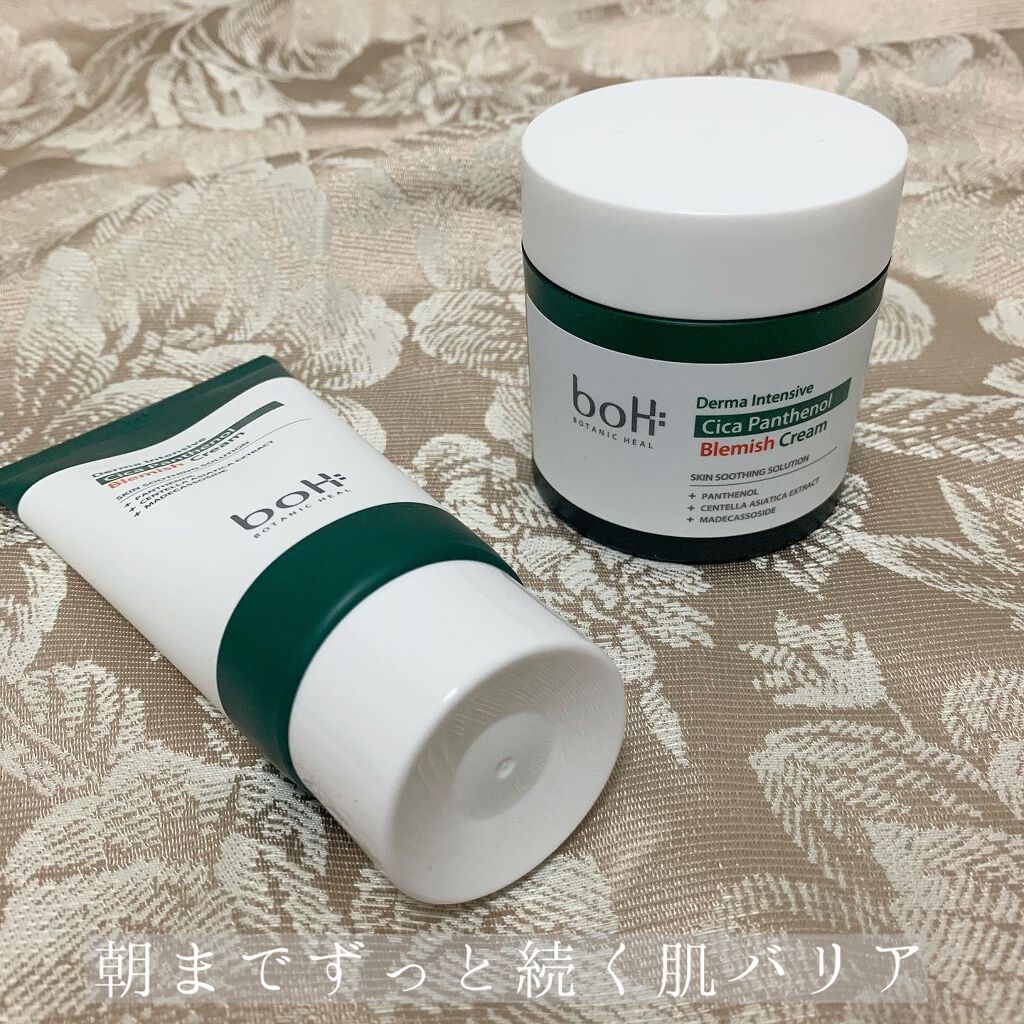 ダーマインテンシブシカパンテノールブラミッシュクリーム/BIOHEAL BOH/フェイスクリームを使ったクチコミ（1枚目）