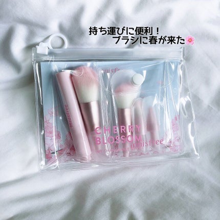 マイチェインジャブル ブラシセット LTD22/innisfree/メイクブラシを使ったクチコミ(1枚目)