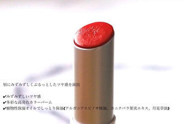 グラスティングメルティングバーム 03 ソルベバーム(Sorbet Balm)/rom&nd/リップケア・リップクリームを使ったクチコミ（3枚目）