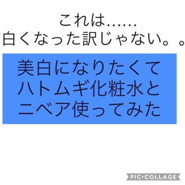 ハトムギ化粧水(ナチュリエ スキンコンディショナー R )/ナチュリエ/化粧水を使ったクチコミ（1枚目）