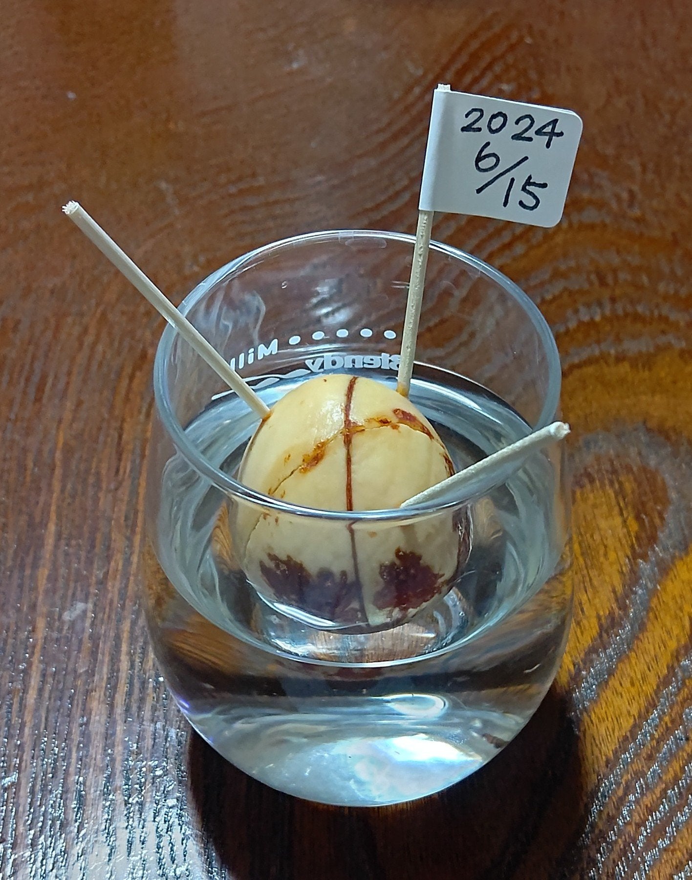 ガラス花瓶/DAISO/その他を使ったクチコミ(2枚目)