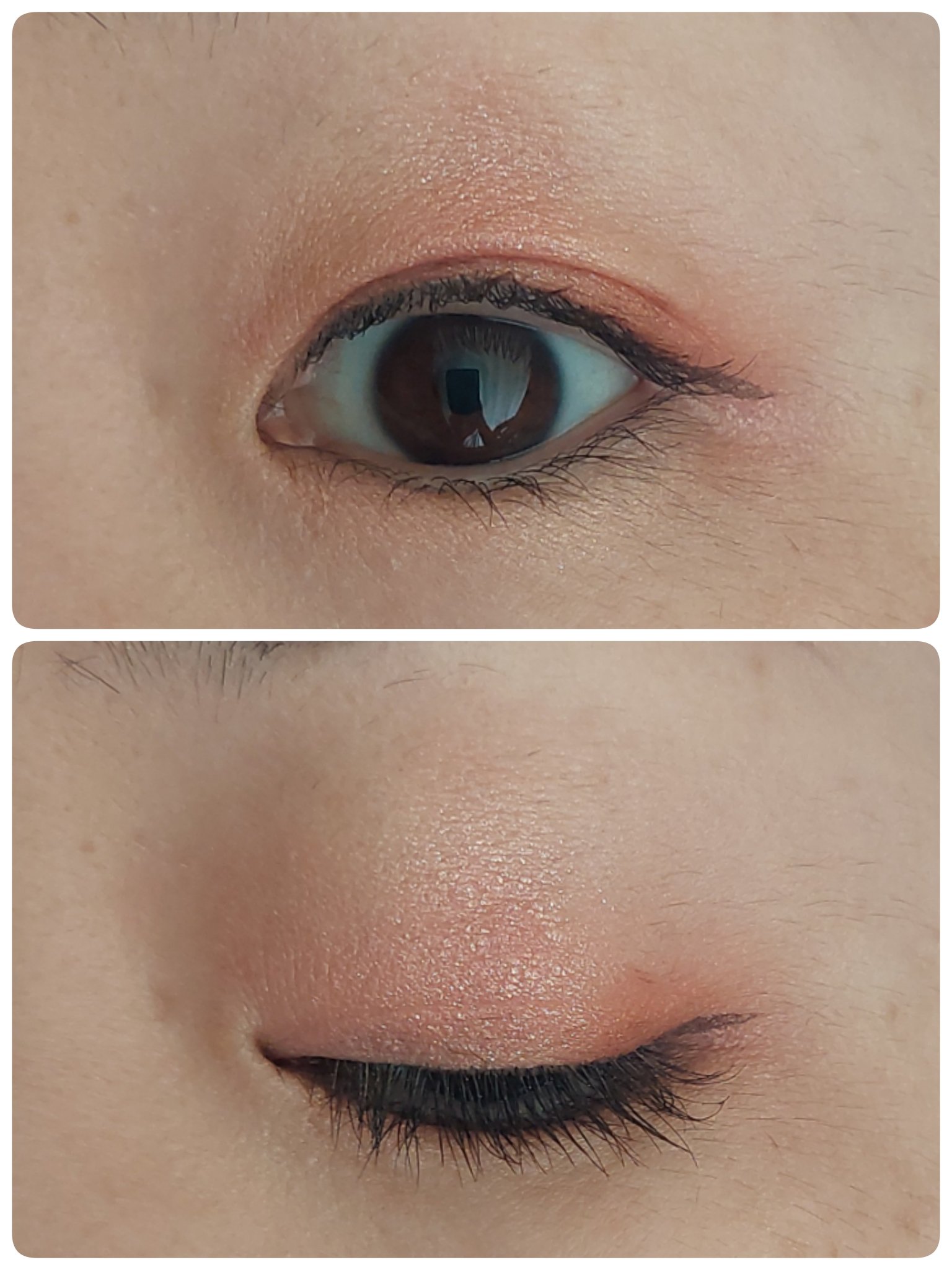 アイカラーパレット/heme/アイシャドウパレットを使ったクチコミ（2枚目）