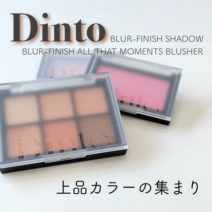 ブラーフィニシュシャドウパレット/Dinto/アイシャドウパレットを使ったクチコミ(1枚目)