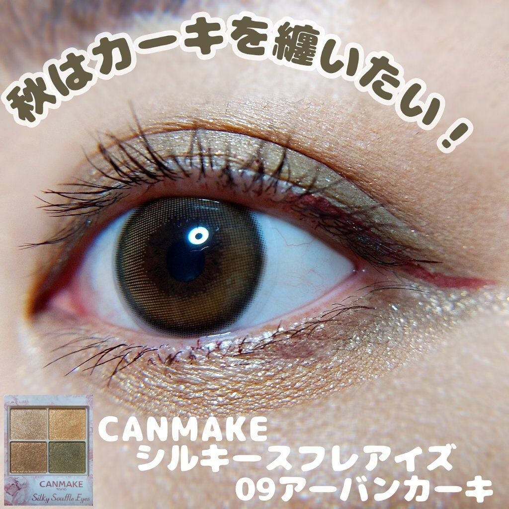 EYE OPENING LINER/UZU BY FLOWFUSHI/リキッドアイライナーを使ったクチコミ(1枚目)