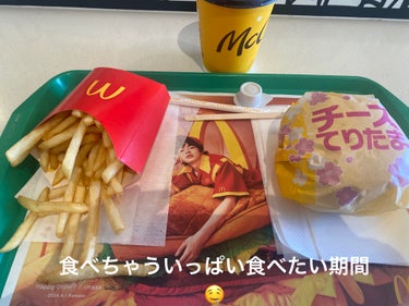 お腹減ってしょうがない期間突入したもよう😭

ヒレカツorマック

マック🍔🍟ℳ.にしました(🍔•᎑•🍟)

明日はハイフ受けに市街地に行くのでいまから
ご飯どこにしようか迷ってますw

#生理前